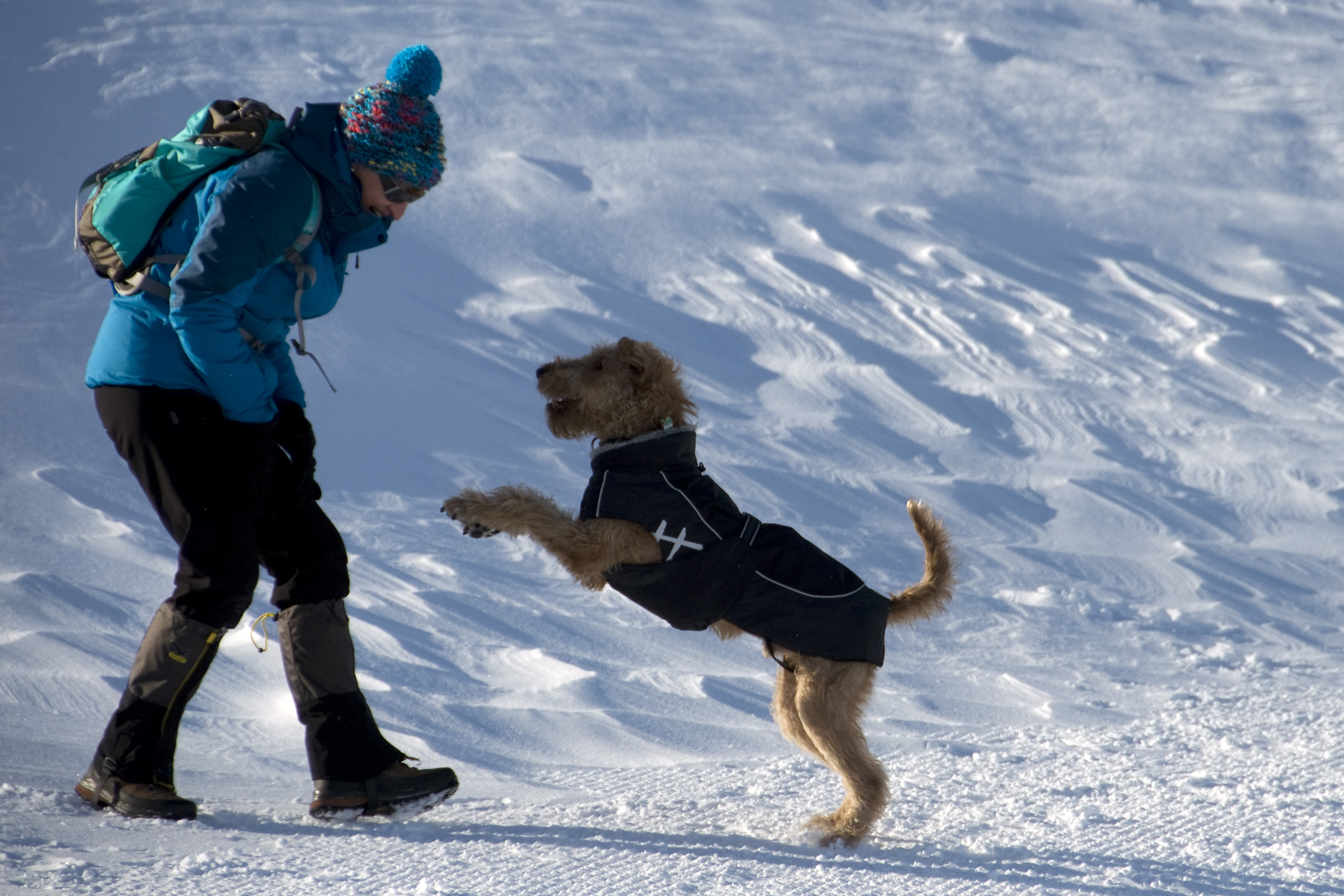 _DSC3494_503Tuxertal