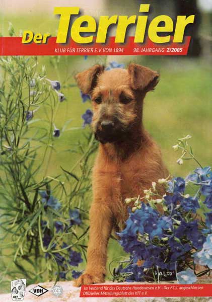 „Der Terrier“, Februar 2005