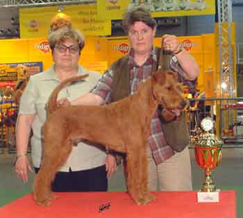 Beyer´s John Boy – Sieger der Terriergruppe III