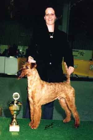 Bonaparte von der Emsmühle