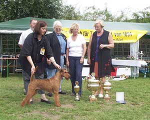 Best in Show