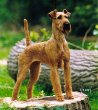 Dallas von der Emsmühle