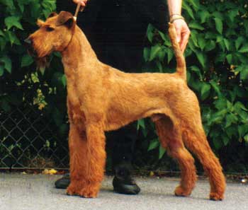 WELLINGTON VON D. EMSMÜHLE