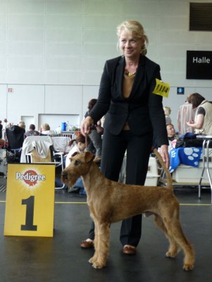 Best of Breed   Nikleby von der Emsmühle