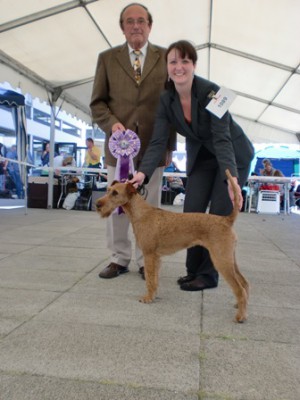 Best of Breed Nabou Aimee von der Emsmühle  Richter: Horst Kliebenstein (D)