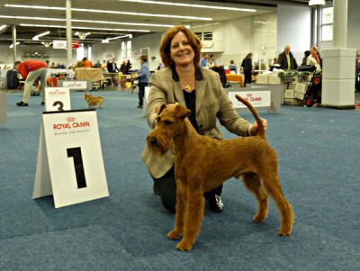 Napoletano von der Emsmühle (Merrymac Copyright x Gabbana von der Emsmühle) BUNDESSIEGER Best of Breed Finalist Gruppe 3