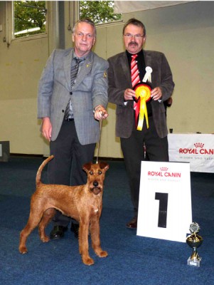 Bundessiegerin Irish Fellow Fairytale (Uriel von der Emsmühle x La Palma von der Emsmühle) gehandelt von Robert Hache Foto: Hache