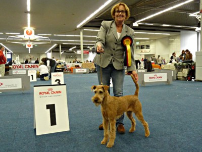 Tilhaja von der Emsmühle (Mylord von der Emsmühle x Mageiro ´s Aileen)  VETERANEN BUNDESSIEGERIN