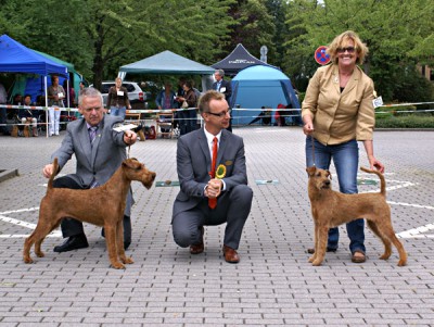 Irish Fellow Bonaparte VETERANEN KLUBSIEGER Bester Veteran 3. Platz Bester Veteran der Ausstellung  Tilhaja von der Emsmühle VETERANEN KLUBSIEGERIN