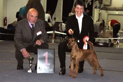 CAC-Dresden-2013-BOB_800[1]  Rassebeste 2. Platz Bester Hochläufer Scooby-Doo Silvester von der Emsmühle Richter: Mr. Reinhard Ritz(D)