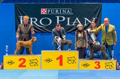 Rosalind von der Emsmühle, Rassebeste und 2. Platz in der Terriergruppe