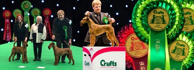 Crufts-2015