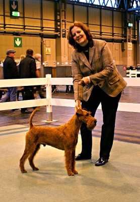 Dog CC Napoletano von der Emsmühle (Merrymac Copyright x Gabban von der Emsmühle) Owner: Sabine Meister, Handler: Karina Grüttner