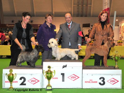 3. Platz in der Terriergruppe Maximo von der Emsmühle Richterin: Doppelreiter (A)