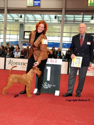 Maximo von der Emsmühle Sieger der Terriergruppe, CACIB Hannover Richter: Dr. Wilfried Peper