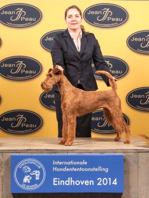 IMG_9276_600[1]  Scarlett von der Emsmühle (Napoletano von der Emsmühle x Irish Fellow Empire) Rassebester Irish Terrier  Richterin: Elisabeth Feuz (CH)