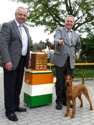 Irish Fellow Fairytale Uriel von der Emsmühle x La Palma von der Emsmühle  Best of Breed Klubsiegerin  gehandelt von Robert Hache, Foto: P. Röder-Hache