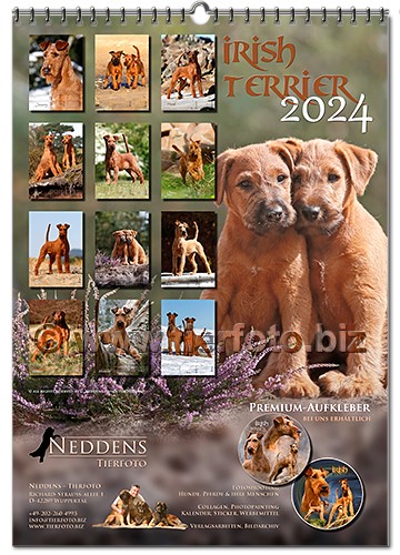 Kalender-2024-13