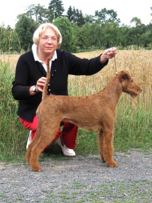 Lesley von der Emsmühle (Kilcavan Oberon at Montelle x Uriella von der Emsmühle)