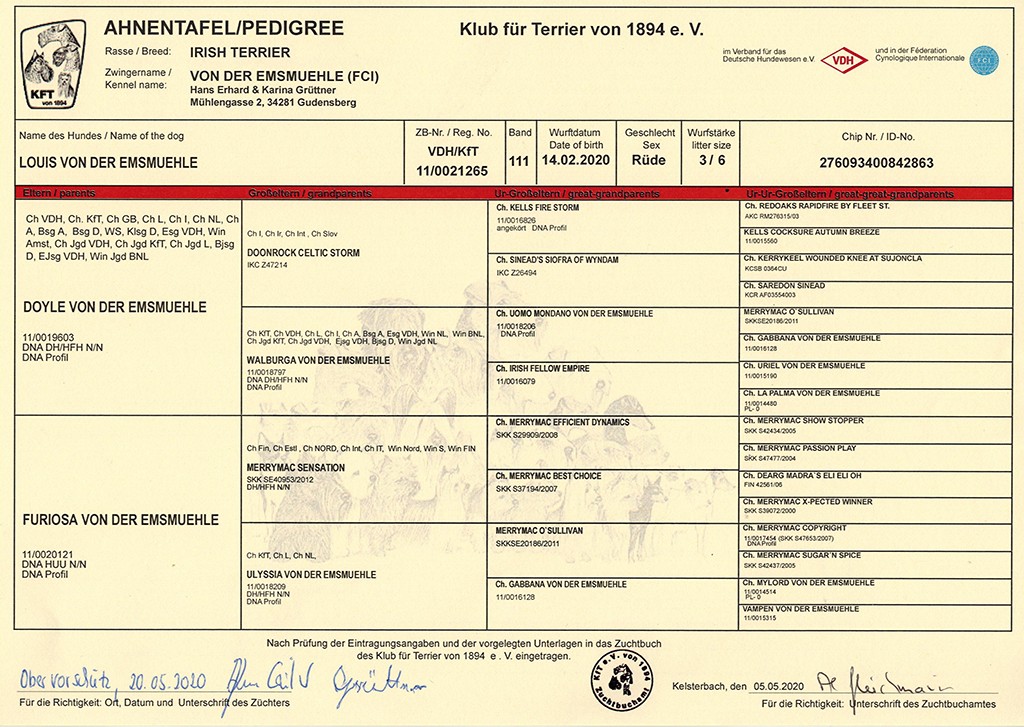 Louis_Ahnentafel-001