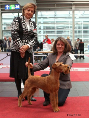 Dizzy´s Fae Fairly ( Darren v.d. Emsmühle x Tilhaja v.d. Emsmühle ) CAC/CACIB