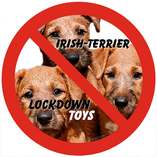 No-Lockdown-Toy-3