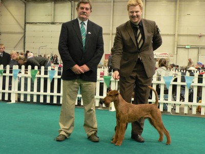 Best of Breed, Richter Mr. D. Manton (IRL)