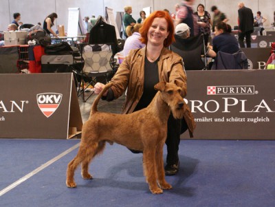 Merrymac Copyright Rassebester, 4. Platz in der Gruppe der Terrier