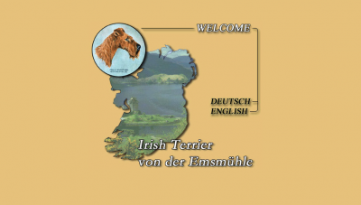 1999 > www.irish-terrier.de