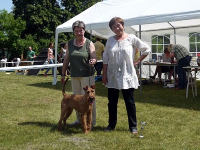 Best of Breed Shane Mc Gowan von der Emsmühle (Napoletano von der Emsmühle x Irish Fellow Empire) Richterin: Frau Vihra Grigorova (BUL)