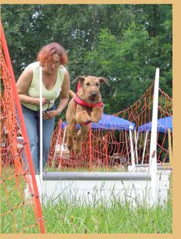 artikel_flyball_o_350