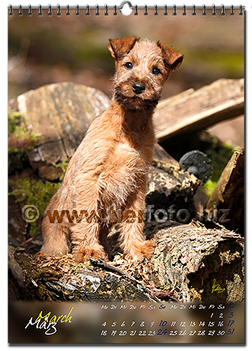 fotokalender2019-04