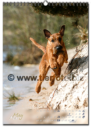 fotokalender2019-06