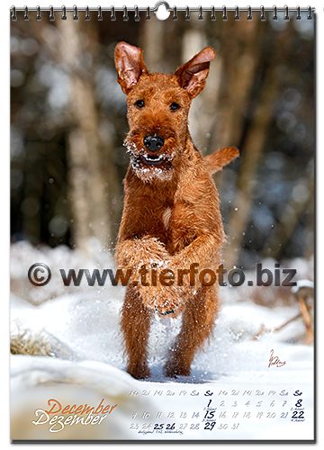 fotokalender2019-13