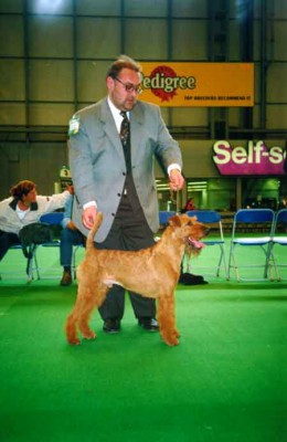 Besitzer und Handler Hans Grüttner