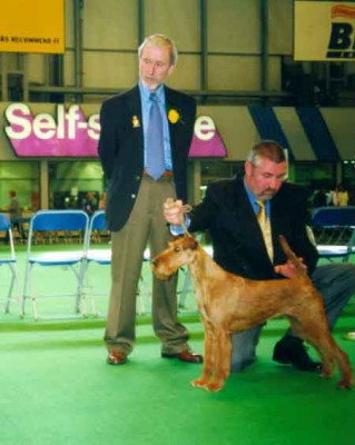 highlights_crufts_2001_cocksure-calypso_450